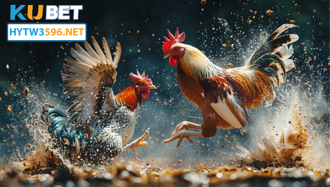 Những điểm nổi bật của HYTW3596 so với các phương pháp truyền thống